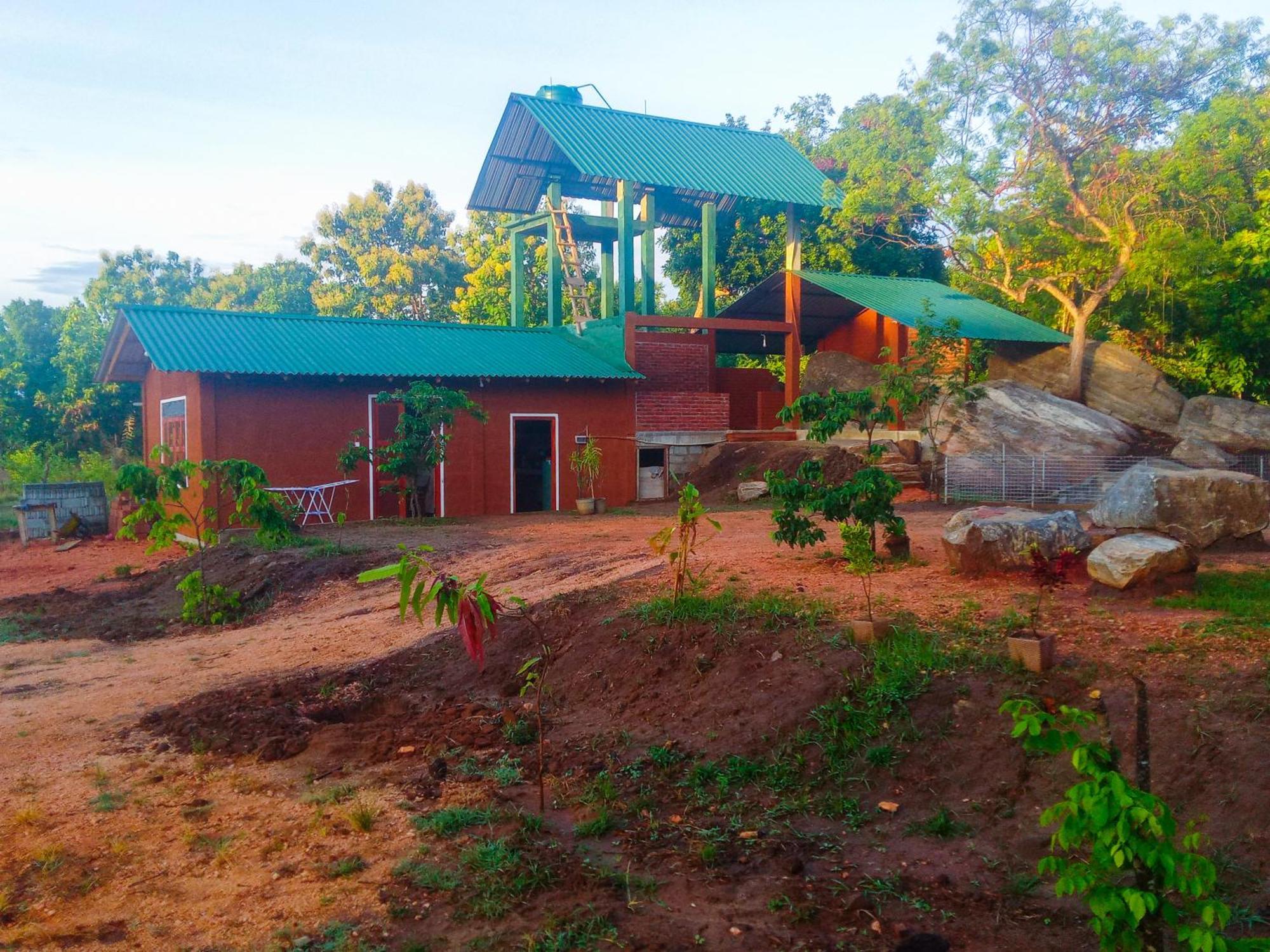 Lion Wood Treehouse Villa Talkote Bagian luar foto